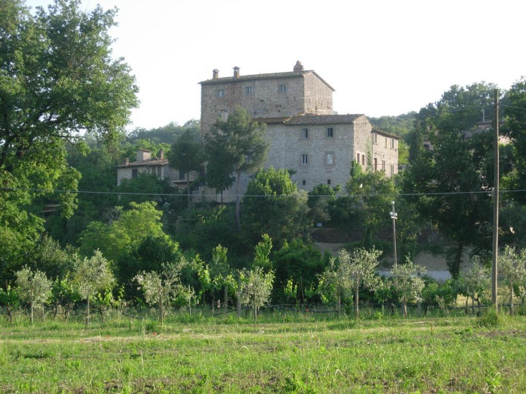Gli Appartamenti Di Torre Bertona Todi Chambre photo